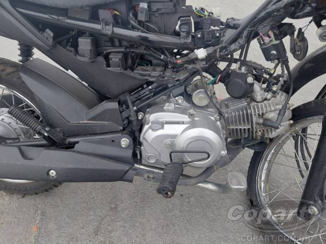 2026 HONDA POP 