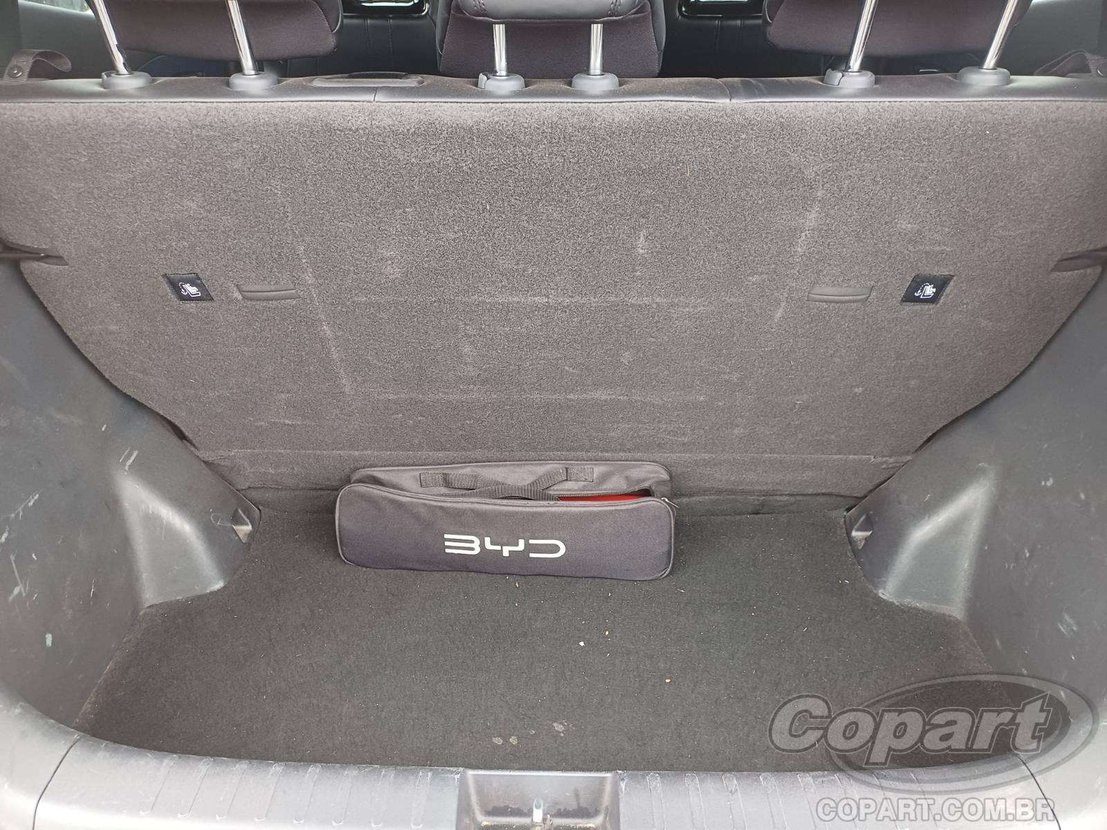 2026 BYD DOLPHIN MINI — foto 10 de 10