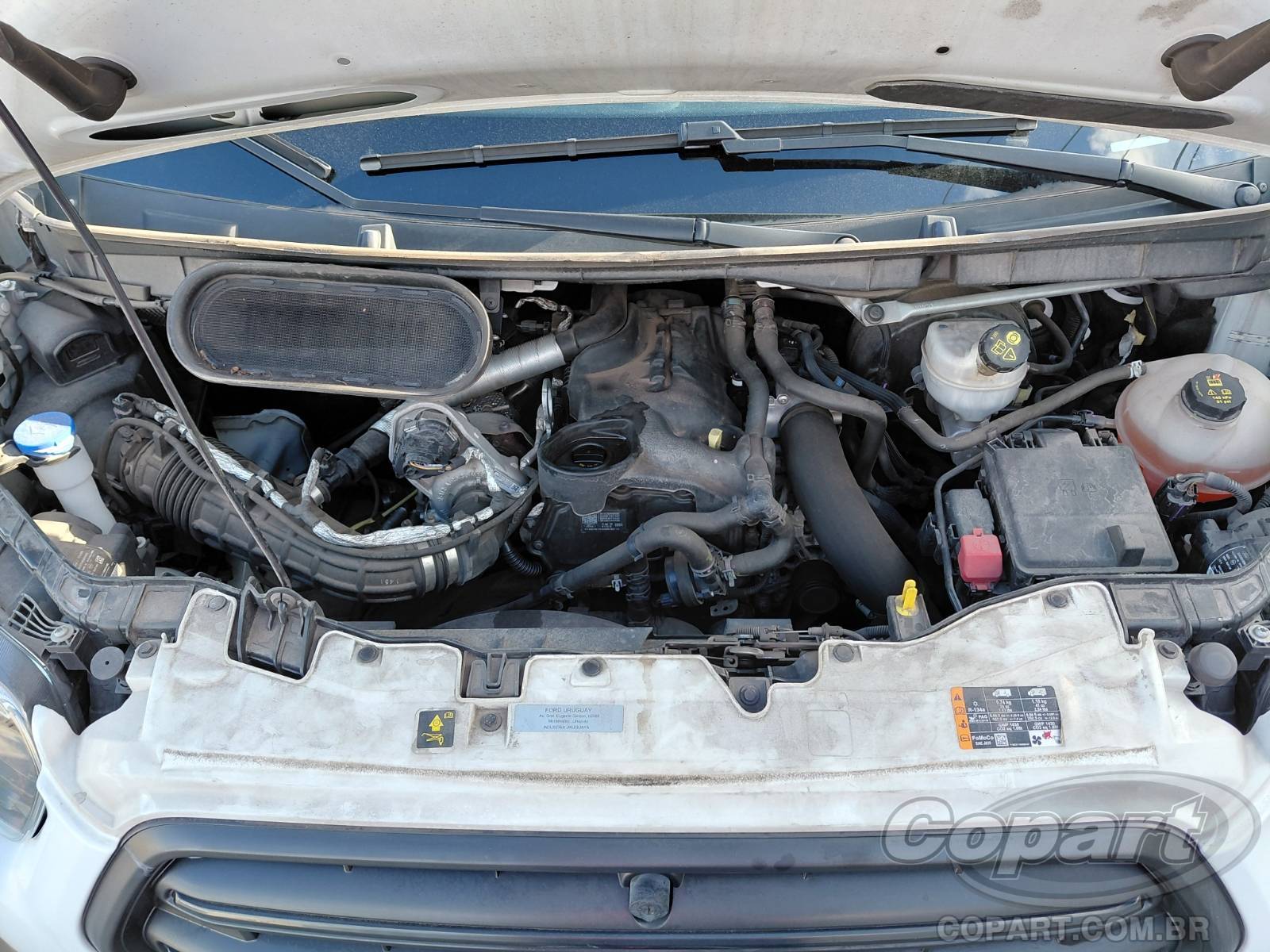 Foto 7 de 12: 2023 FORD TRANSIT FURGAO