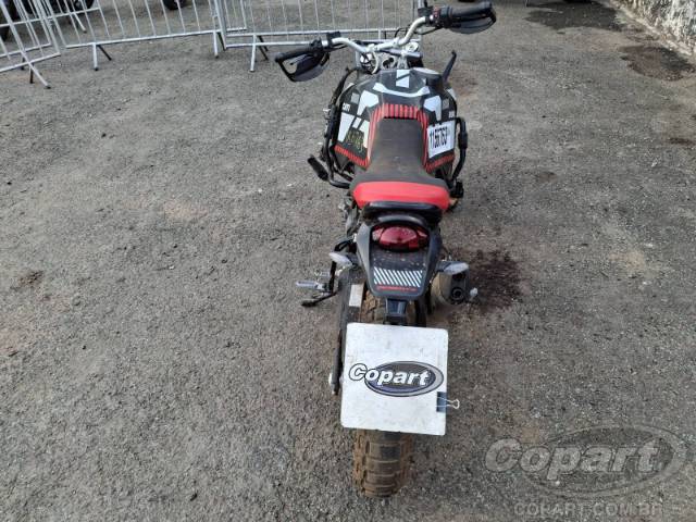 2024 DUCATI DESERTX 