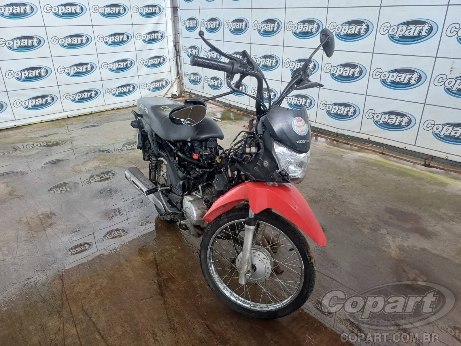 2022 HONDA POP Motos