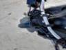 2024 YAMAHA MT-03 