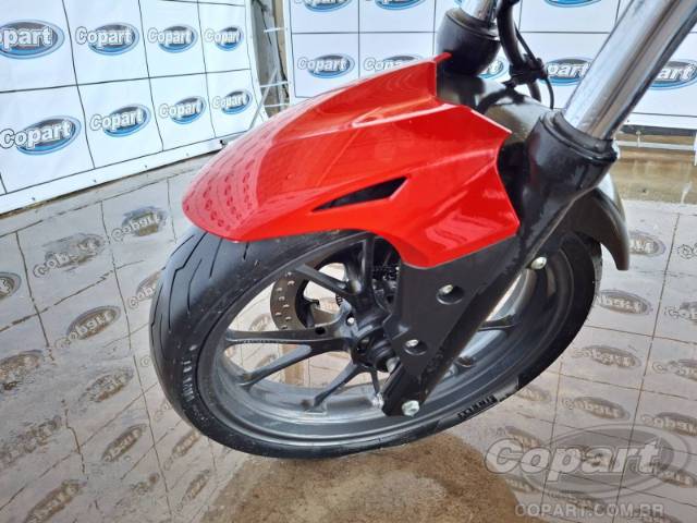 2023 HONDA CB 300F 