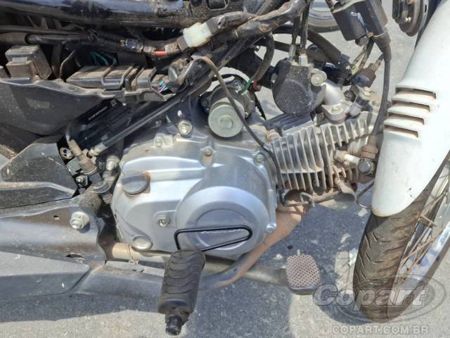 2026 HONDA POP 