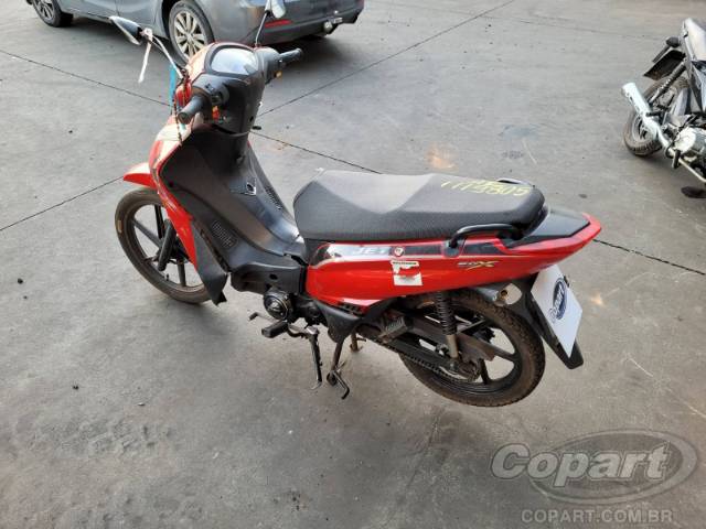 2022 SHINERAY 50Q 