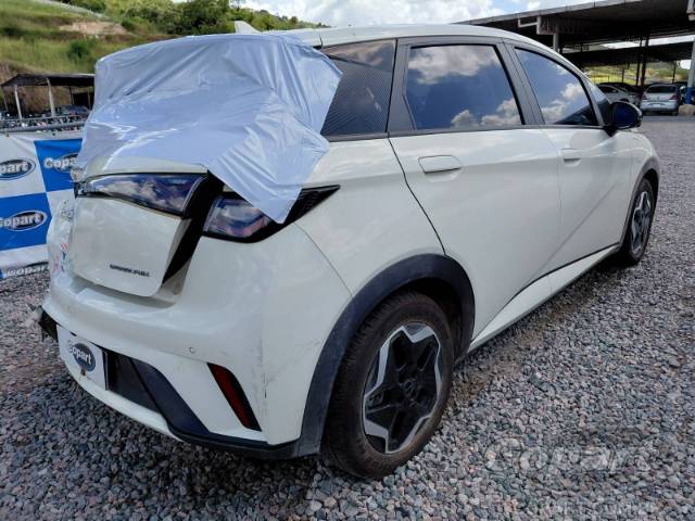 2024 BYD DOLPHIN 