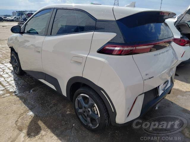 2025 BYD DOLPHIN MINI 