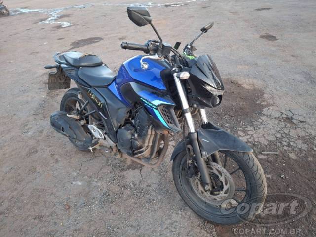 2024 YAMAHA FZ25 FAZER 