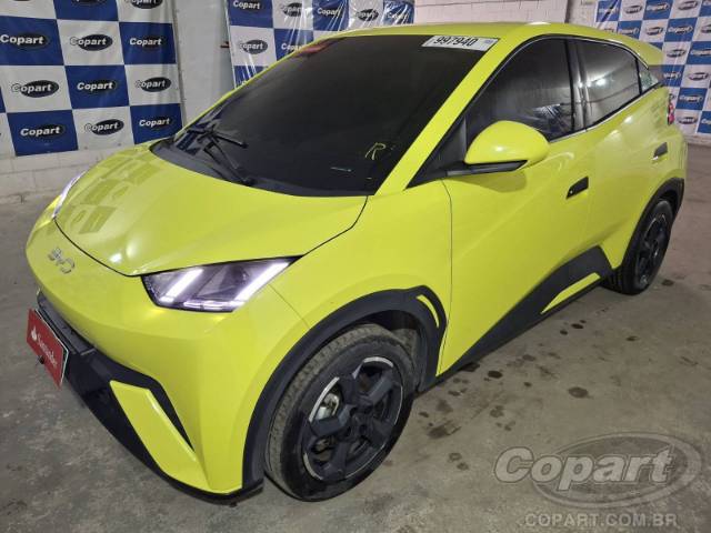 2025 BYD DOLPHIN MINI 