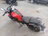 2024 HONDA CB 300F 