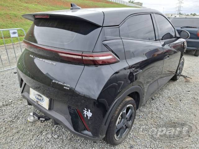 2025 BYD DOLPHIN MINI 