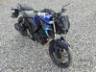 2024 YAMAHA FZ25 FAZER 