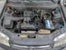 2011 FIAT SIENA 