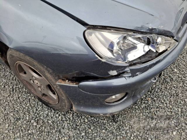 2006 PEUGEOT 206 SW 