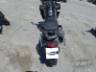 2023 TRIUMPH TIGER 