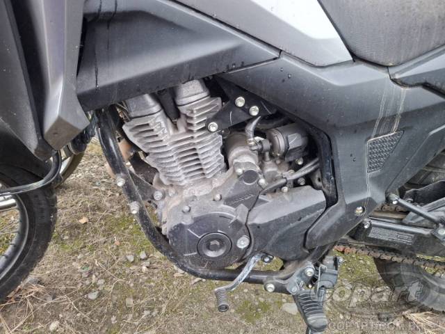 2024 HONDA XRE SAHARA 300 