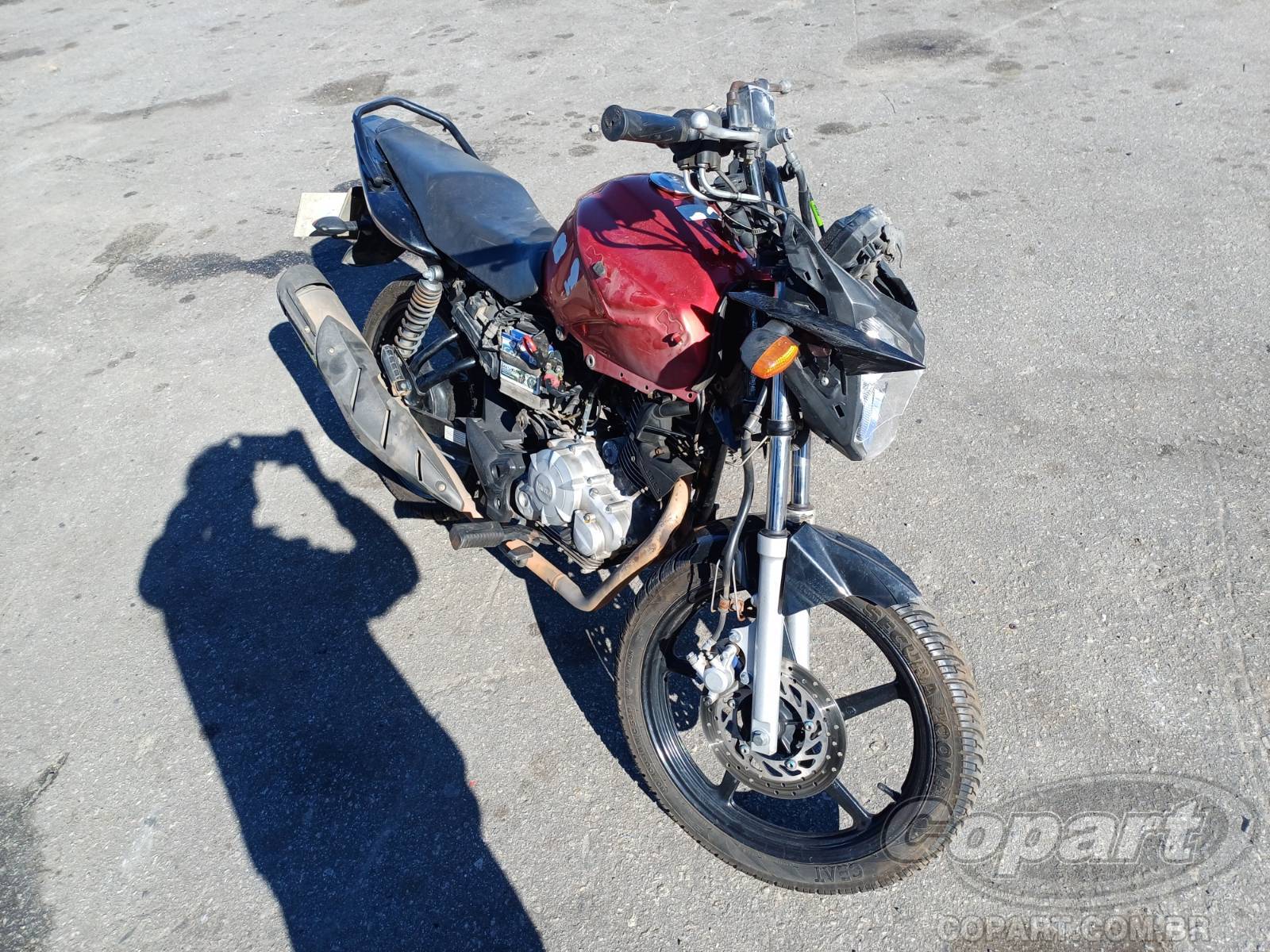 Yamaha Fazer YS 250 FAZER/ FAZER L. EDITION /BLUEFLEX