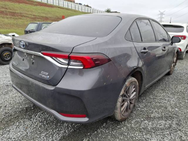 2024 TOYOTA COROLLA 