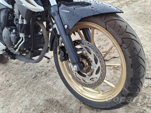 2025 YAMAHA FZ25 FAZER 