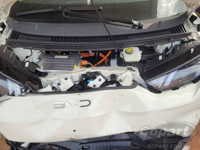 2027 BYD DOLPHIN MINI 