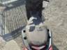 2024 YAMAHA XMAX 