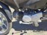 2013 HONDA POP 100 