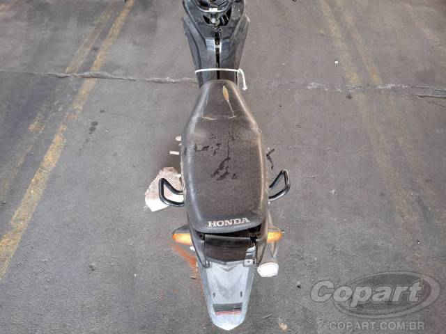 2025 HONDA POP 