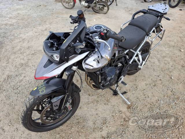 2024 TRIUMPH TIGER 