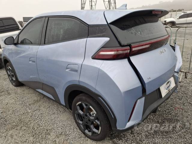 2027 BYD DOLPHIN MINI 