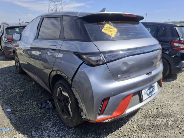 2024 BYD DOLPHIN 
