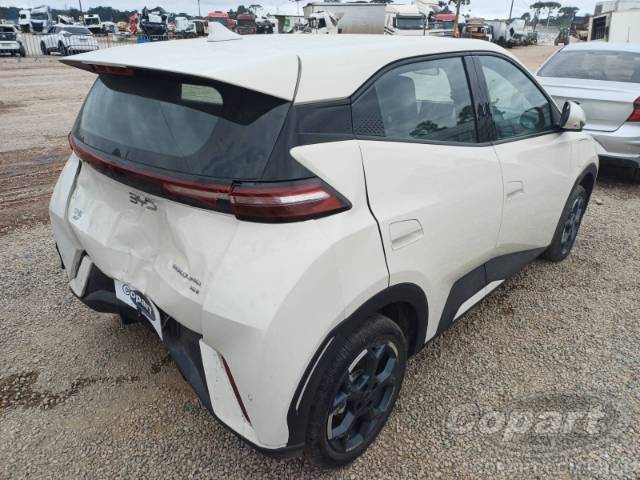 2026 BYD DOLPHIN MINI 