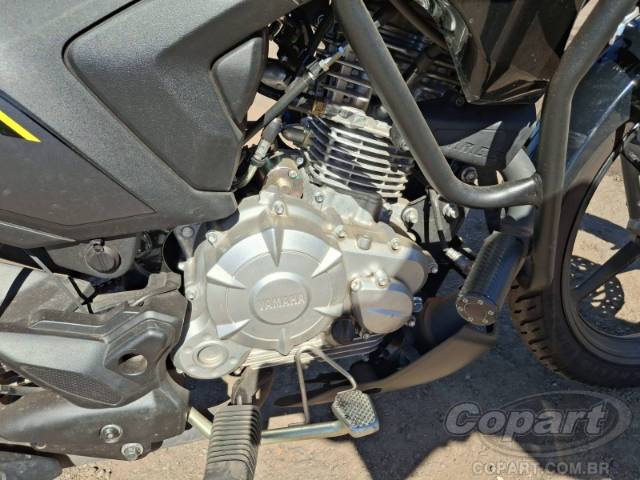 2025 YAMAHA FACTOR 