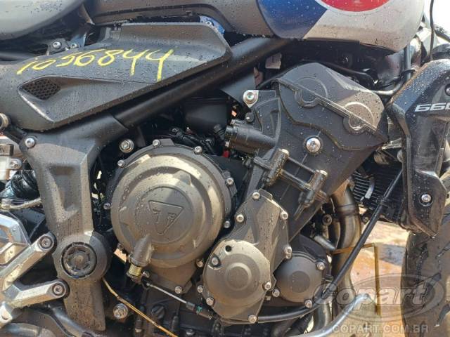 2025 TRIUMPH TRIDENT 