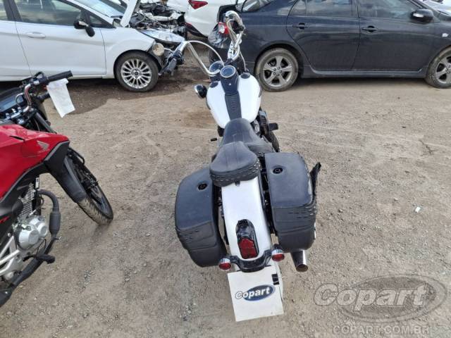 2020 HARLEY-DAVIDSON SOFTAIL 