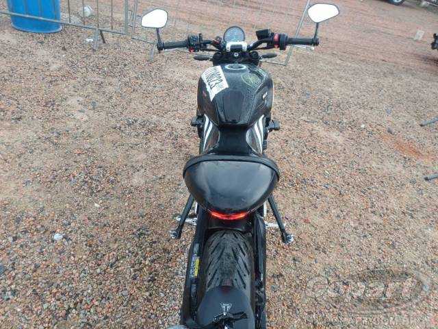 2026 TRIUMPH TRIDENT 