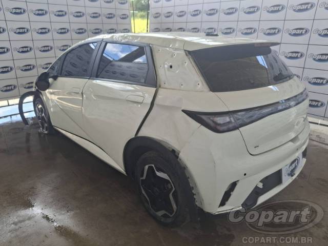2025 BYD DOLPHIN 