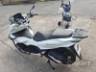 2024 HONDA PCX 