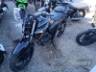 2024 YAMAHA FZ25 FAZER 