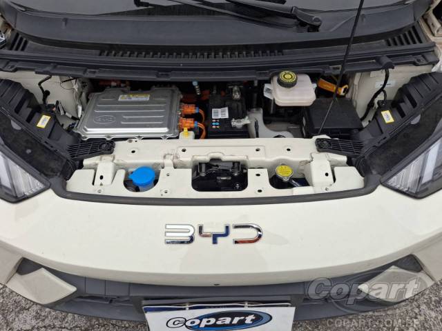 2025 BYD DOLPHIN MINI 