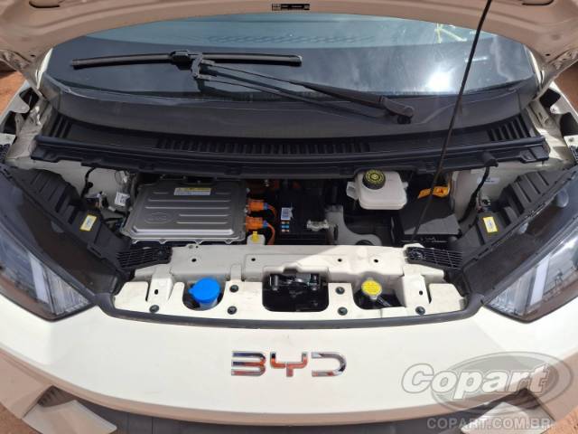 2025 BYD DOLPHIN MINI 