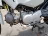 2015 HONDA POP 100 