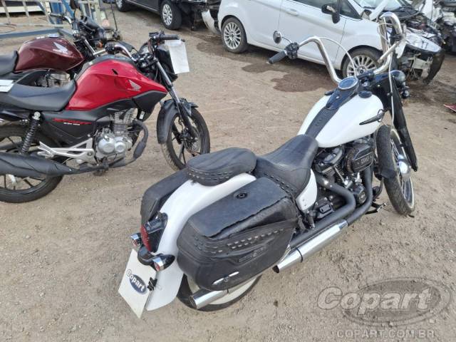 2020 HARLEY-DAVIDSON SOFTAIL 