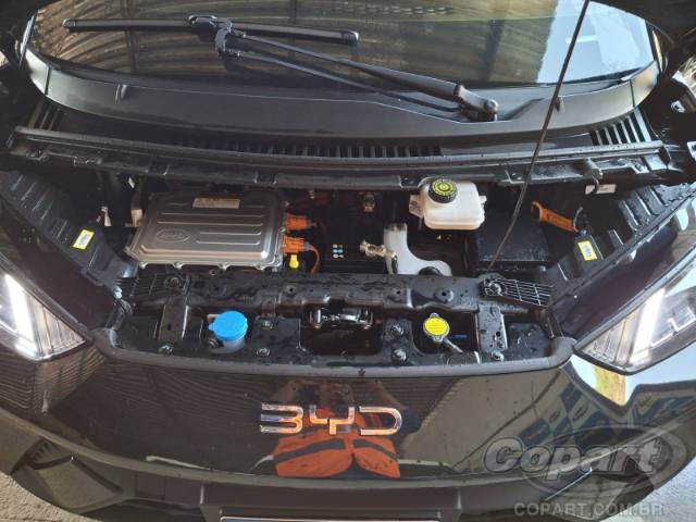 2025 BYD DOLPHIN MINI 