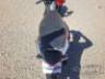 2026 HONDA BIZ 125 