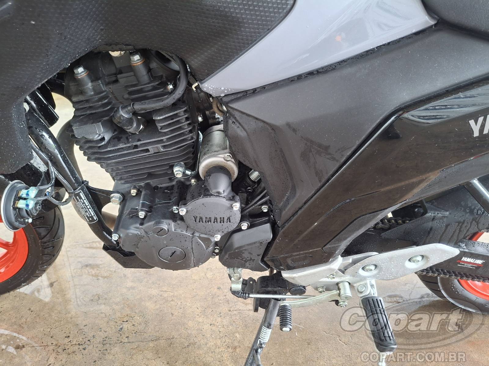 2026 YAMAHA FZ25 FAZER — foto 6 de 10