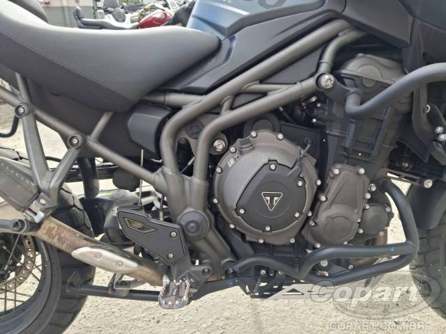 2019 TRIUMPH TIGER 