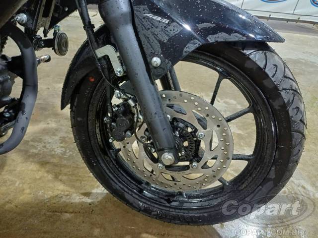 2024 YAMAHA FZ25 FAZER 