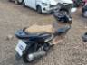 2025 HONDA PCX 