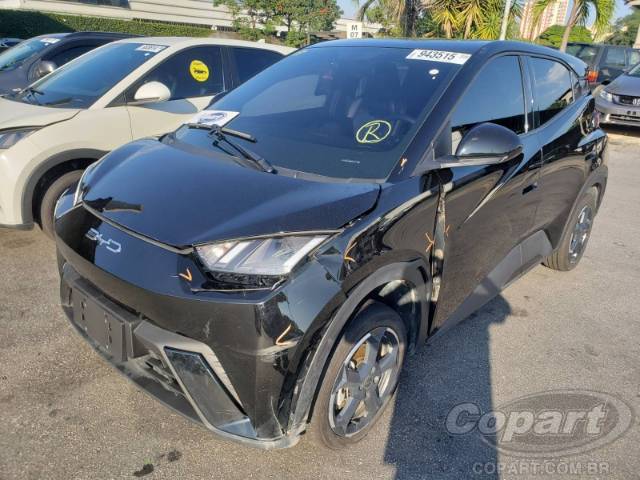 2024 BYD DOLPHIN MINI 