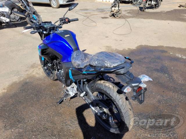 2024 YAMAHA FZ25 FAZER 